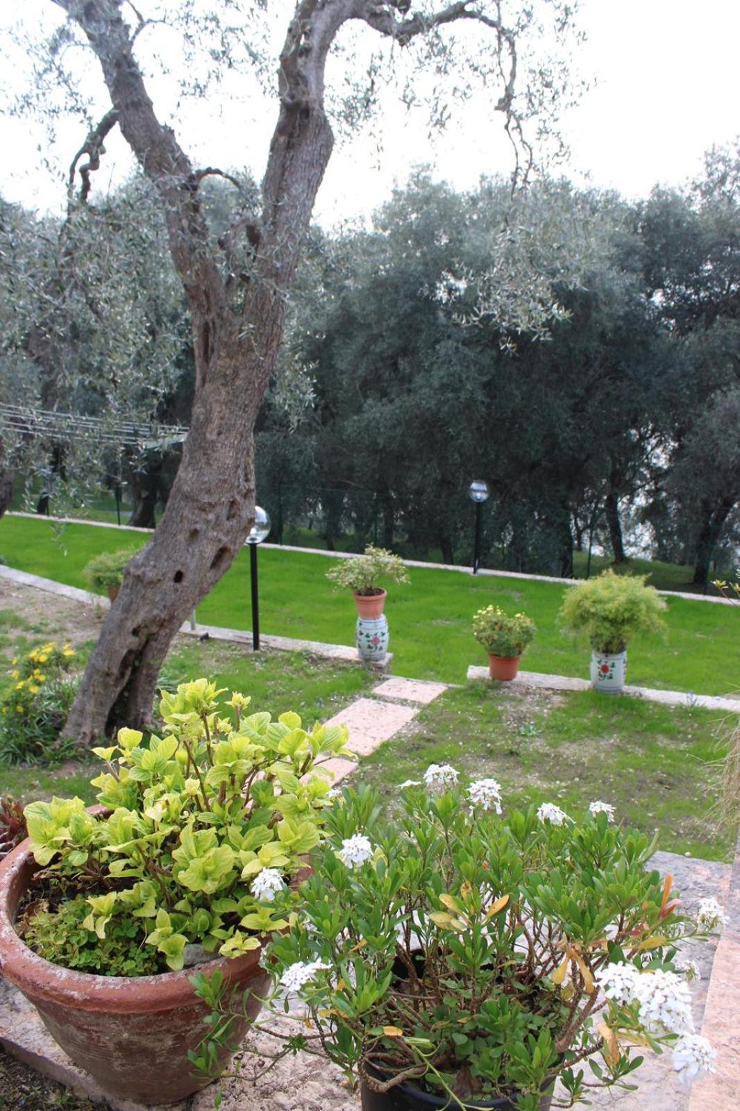 דירות טורי דל בנקו Casa Antony מראה חיצוני תמונה